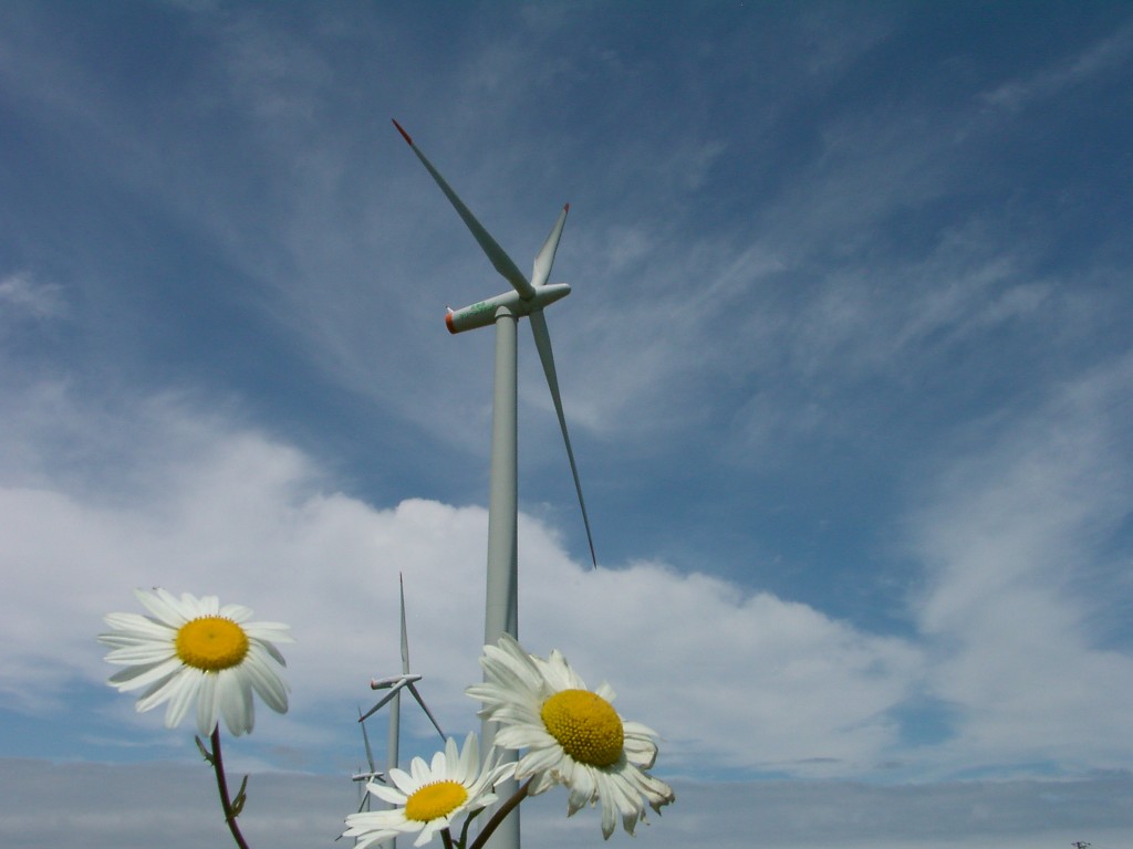 Photo: Hokkaido Green Fund