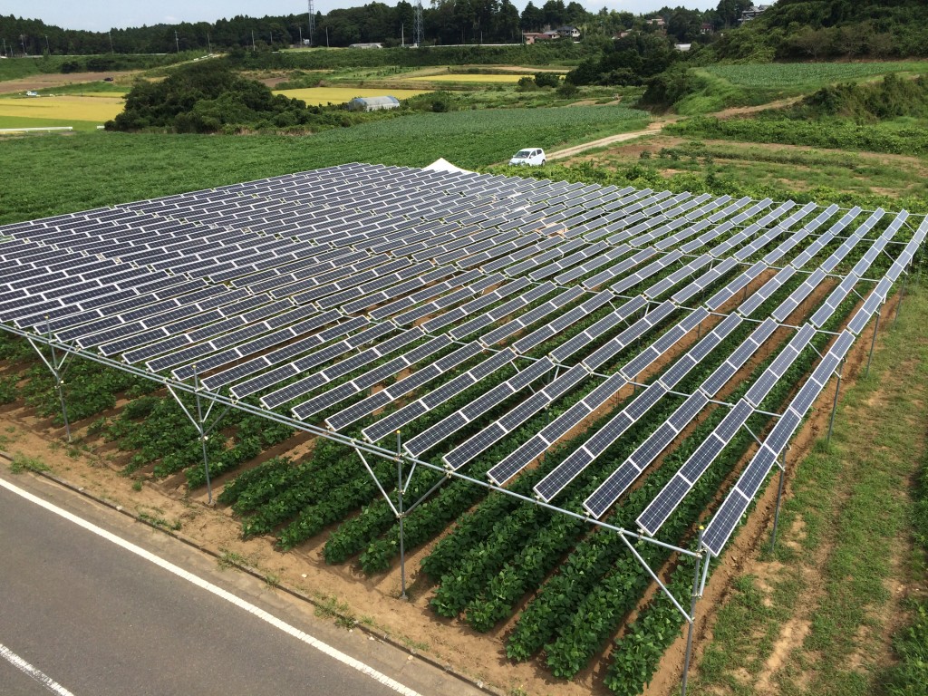 全国初の市民共同ソーラーシェアリング設備「匝瑳第一発電所Sun Agri」35kw（写真：市民エネルギーちば合同会社）