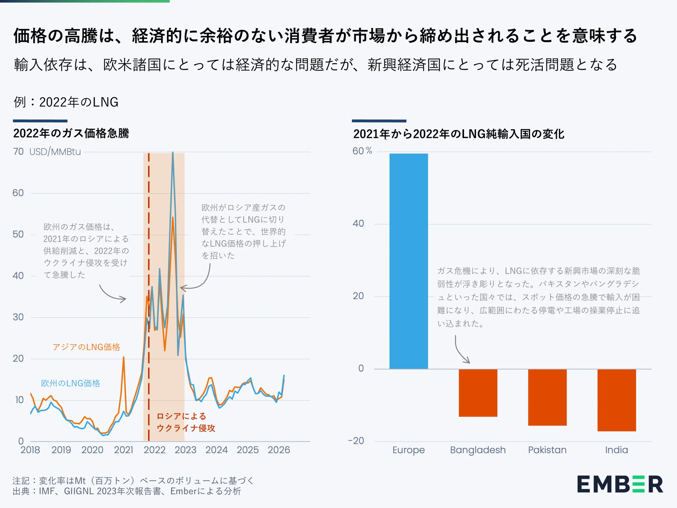 価格の高騰は、経済的に余裕のない消費者が市場から締め出されることを意味する 輸入依存は、欧米諸国にとっては経済的な問題だが、新興経済国にとっては死活問題となる